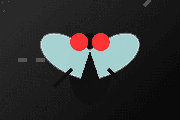 Impossible Fly